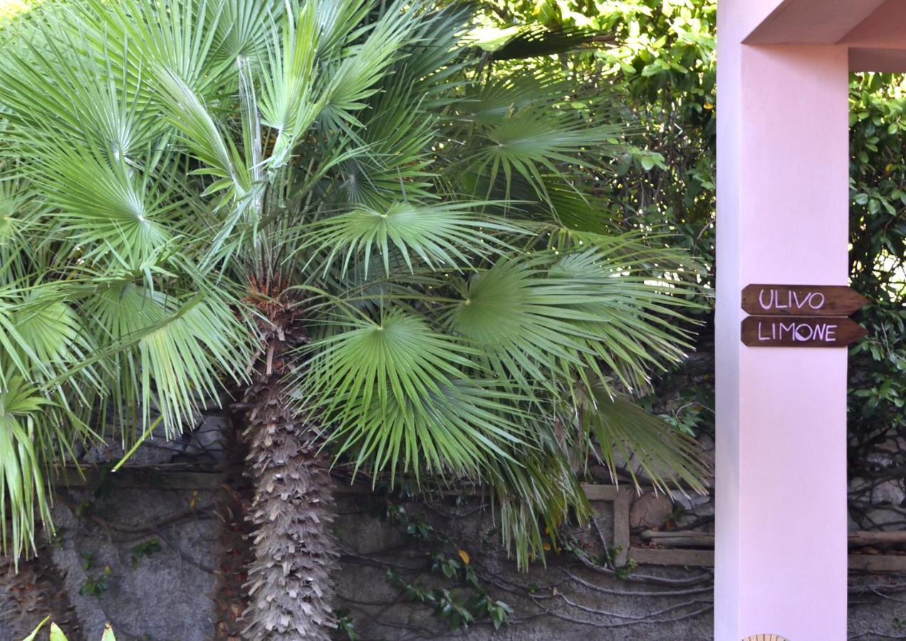 Villa Fiore Apartments Portoferraio Buitenkant foto
